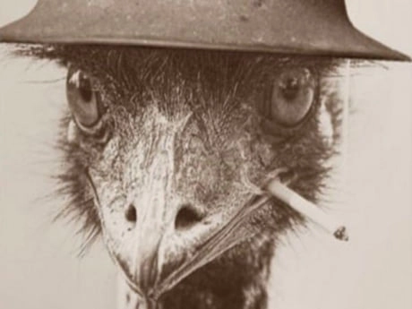 Never forget the Great Australian Emu War!